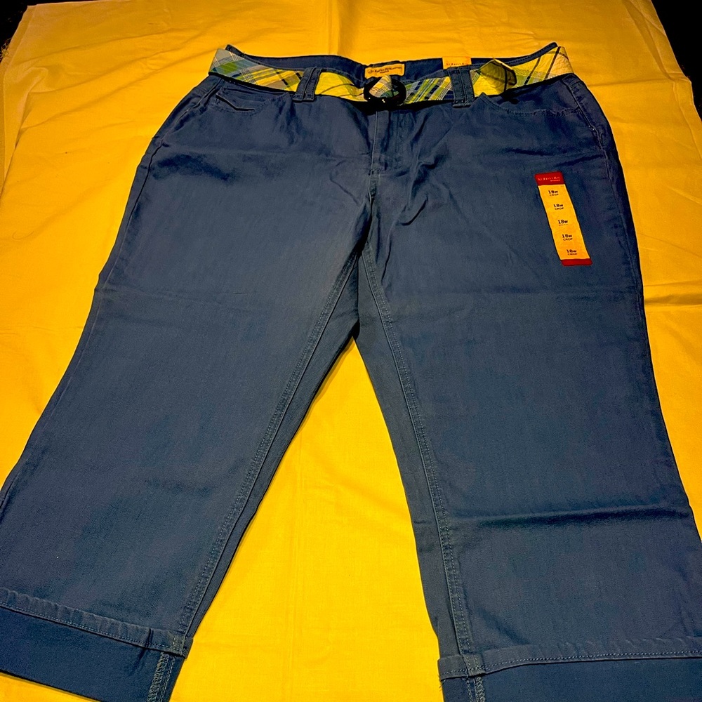 St. John's bay periwinkle capris-new with tags-18w
